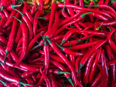 Kırmızı biberler canlı renklerine ve çiftlik tazeliklerine göre bir bambu sepetine dizilmiş.