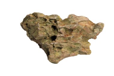 Ejderha Taşı (ohko kayası), kesme yolu ile beyaz bir arkaplanda izole edilmiş karmaşık erozyon desenleri ile.