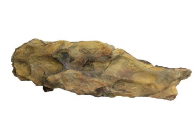 Yatay olarak uzamış ejderha taşı düz ama desenli bir yüzeyi var. Kesme yolu olan beyaz bir arka planda izole edilmiş.