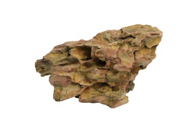 Orta büyüklükte gözenekli bir yüzeyi olan ejderha taşı kesme yolu olan beyaz bir arka planda izole edilmiş. paludaryumlar