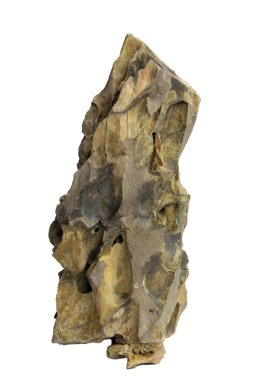 Derin oyukları ve beyaz arka planda izole edilmiş eşsiz oluşumları olan doğal ejderha taşı. Kırpma yolu dahil. Paludaryumlar ve akvaryumlar için