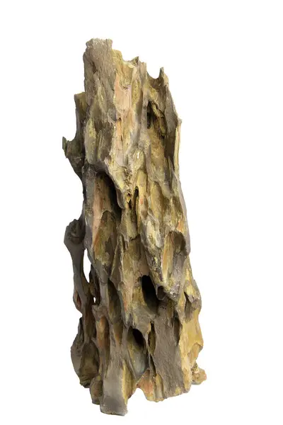 Uzun, ince ejderha taşı, dikey çizgiler ve beyaz arka planda izole edilmiş toprak kahverengi tonlar, kırpma yolu da dahil. Akvaryum sera ve teraryum için