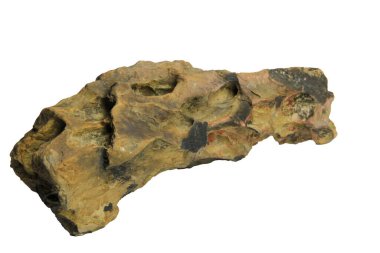 Yatay odaklı ejderha taşı. Karmaşık yıpranmış dokuları ve beyaz arka planda izole edilmiş doğal erozyon desenleri var.