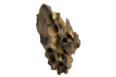 Dikey şekilli ejderha taşı belirgin delikleri ve kesme yolu olan beyaz bir arka planda izole edilmiş sert bir yüzeyi var.