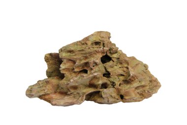 Engebeli dokuları ve toprak tonlarıyla doğal ejderha taşı. Kesme yolu olan beyaz bir arka planda izole edilmiş.