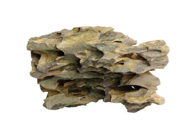 Katmanlı ejderha taşı levhası, çarpıcı çıkıntıları ve oyukları beyaz arka planda, kırpma yolu ile izole edilmiş.