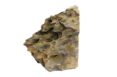 Dikey ejderha taşı parçası sivri uçlu ve katmanlı detaylarla izole edilmiş kesme yolu olan beyaz bir arka planda