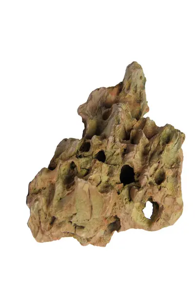 Derin oyukları ve düzensiz şekli olan engebeli kahverengi ejderha taşı kesme yolu olan beyaz bir arka planda izole edilmiş.