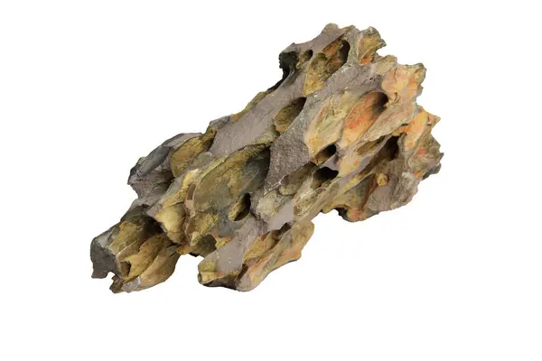 Toprak tonlu ejderha taşı, engebeli yapısı ve pürüzlü kenarları var. Kesme yolu olan beyaz bir arka planda izole edilmiş.