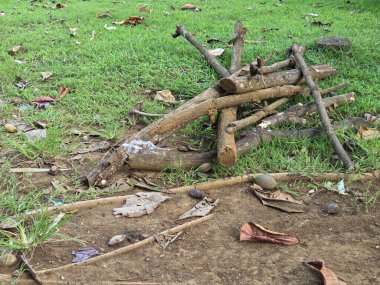 Tahta kütükler ve kuru dallar açık bir arazide yeşil çimenli zeminde istiflenmiş. Yakacak odun hazırlığı