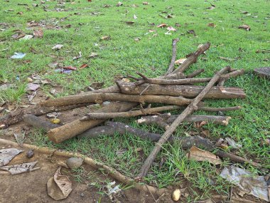 Kahverengi toprakta, yeşil çimenli arka planı doğal olarak olan kuru ağaç dalları ve dallar yığını.