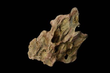 Doğal ejderha taşı (ohko kayası), siyah arka planda izole edilmiş ve kırpma yolu ile izole edilmiş engebeli bir yapıya sahiptir.