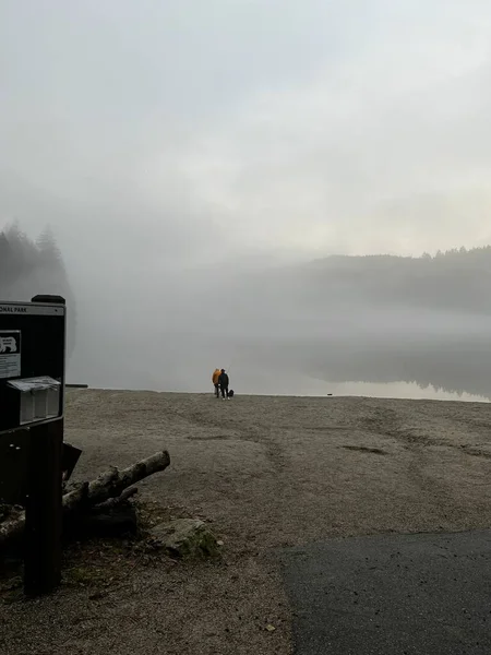 Amidst the serene beauty of nature a fisherman stands alone on a foggy beach empty shore stretches out before him leading to a lush forest in the distance The mist shrouds the scene in a dreamlike quality as the fisherman casts his line patiently
