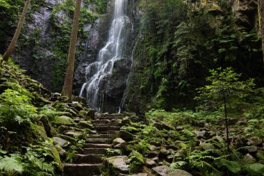 Kozalaklı ormandaki Burgbach Şelalesi granit kayaların üzerinden Bad Rippoldsau-Schapbach yakınlarındaki vadiye düşer..