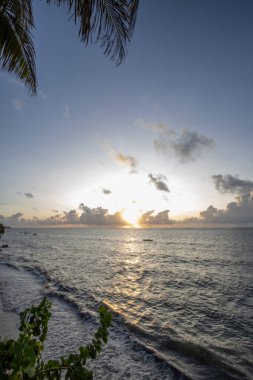 Deniz kenarındaki Pamen, Hint Okyanusu. Kenya, Mombasa, Afrika 'da bir otelde palmiye ağaçlarına tepeden bakan gün doğumu