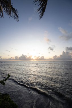 Deniz kenarındaki Pamen, Hint Okyanusu. Kenya, Mombasa, Afrika 'da bir otelde palmiye ağaçlarına tepeden bakan gün doğumu