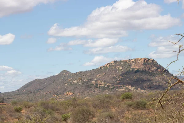 Afrika 'nın güzel manzarası, bir safariye çıkarılmış savana. Kenya 'nın ve vahşi hayatının güzel manzaraları. Kenya 'da Panorama, gün doğumu, dağlar, bulutlar ve hayvanlar