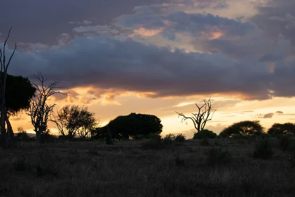 Wunderschöne Landschaft Afrika Savanne Auf Safari Wunderschöne Ausblicke Auf Kenia — Stockfoto