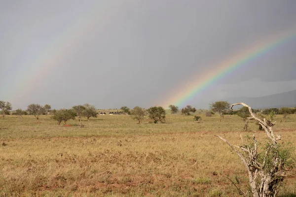 stock image Rainbow in a beautiful landscape shot. Savannah Africa Kenya Taita Hills. on a safari in an incredible landscape