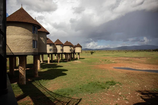 salt lick safari lodge in the taita hills kenya. Nice accommodation on a safari in Kenya Africa