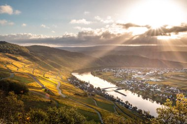 Moselle, Almanya 'da güzel bir nehir. Üzüm bağları, manzarası ve ışıkları vardır. Altın bir sonbahar