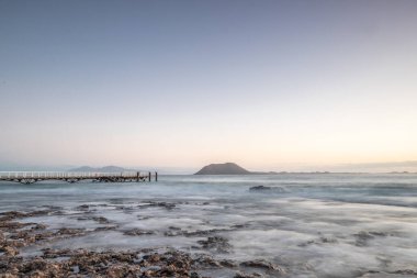 Lav plajında uzun süre kalmışlar. Sabahleyin taşlı kumsalda. Körfez, Corralejo kıyısı, Las Palmas Eyaleti, İspanya