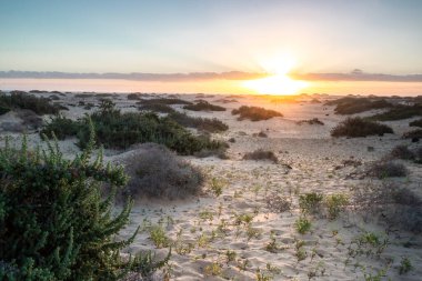 Kumsalda güzel bir sabah. Denizde uzun süre kalmışlar. Sis ve sisin içinde sütlü gün doğumu. Corralejo, Kanarya Adaları, İspanya