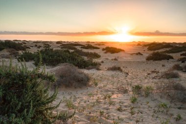 Kumsalda güzel bir sabah. Denizde uzun süre kalmışlar. Sis ve sisin içinde sütlü gün doğumu. Corralejo, Kanarya Adaları, İspanya