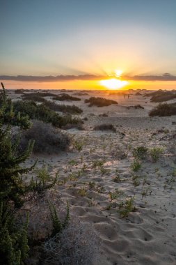 Kumsalda güzel bir sabah. Denizde uzun süre kalmışlar. Sis ve sisin içinde sütlü gün doğumu. Corralejo, Kanarya Adaları, İspanya