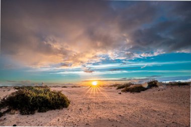 Corralejo 'nun kumullarında gün doğumu. Corralejo Ulusal Parkı üzerinde romantik gündoğumu, Kanarya Adaları, İspanya