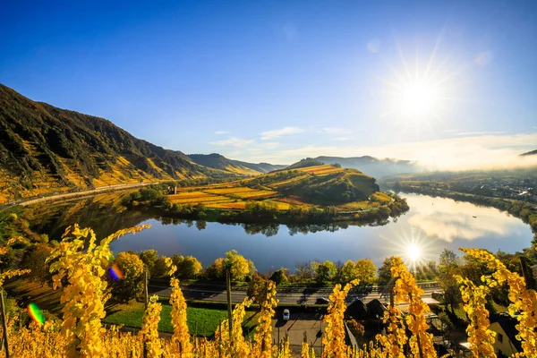 stock image The Moselle loop, a beautiful river in Germany, makes a 180 degree loop. with vineyards and a great landscape and lighting in the morning