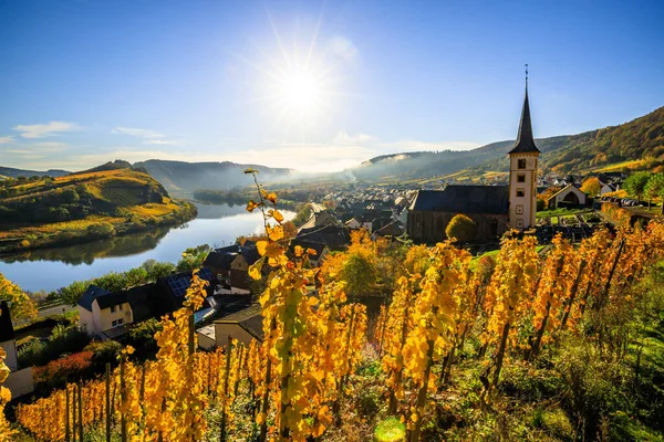 stock image The Moselle loop, a beautiful river in Germany, makes a 180 degree loop. with vineyards and a great landscape and lighting in the morning