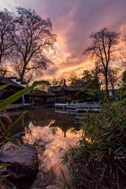 Frankfurt, Almanya 'daki Çin Bahçesi. Harika bitkileri olan bir Çin bahçesinin güzel kopyası.