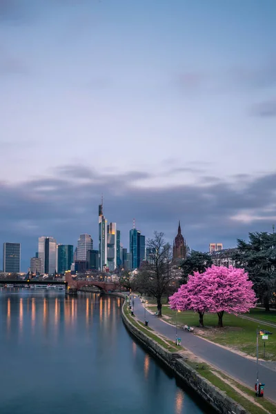 Frankfuert Enige Skyline Duitsland Achtergrondverlichte Fotografie Voor Zonsondergang Met Een — Stockfoto