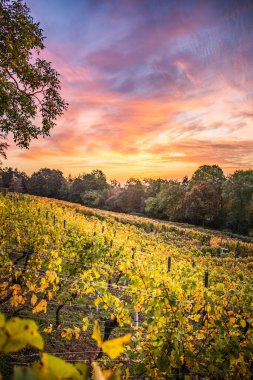 Taunus Almanya 'da bir dağda güzel bir günbatımı. Doğa bir vadi ve gökyüzünde büyük bulutlar