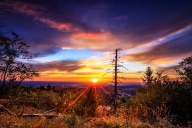 Doğanın ortasında gün batımının güzel manzarası. Bir dağdan alındığında, vahşi doğaya romantik bir bakış açın var. Akşamları gökyüzü özellikle renklidir.
