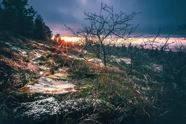 Pôr Sol Paisagem Inverno Alemanha Com Neve Gelo Bela Vista — Fotografia de Stock