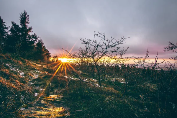 독일의 풍경의 타우누스의 드베르 크에서 아름다운 광경이 펼쳐집니다 눈덮인 나무들 — 스톡 사진