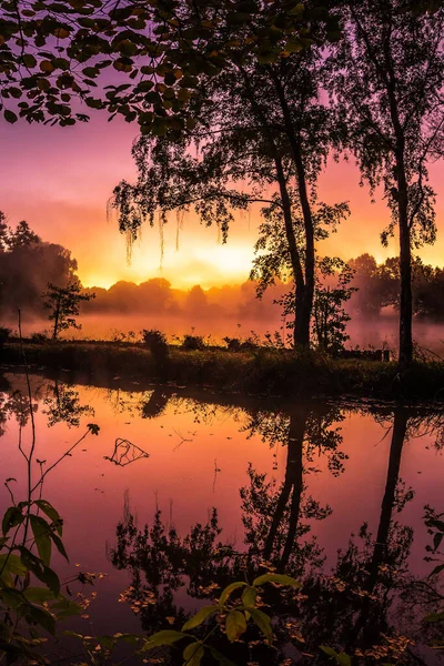 日落时分 美丽的日出映照在德国的一个湖上 在平静的海水中倒影 在美丽的绿色自然中 — 图库照片