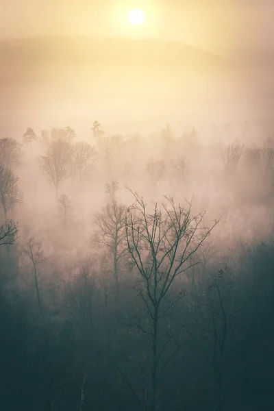 Palatinate Forest Egy Homokkő Sziklán Kilátással Napfelkeltét Völgyben Köd Sziklán — Stock Fotó
