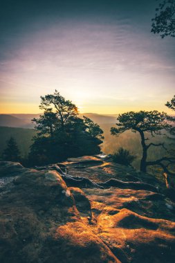 Kum taşından bir kayanın üzerinde, vadide güneşin doğuşunu gören bir orman sisli ve kayanın üzerinde bir haç ve yalnız bir ağaç var.