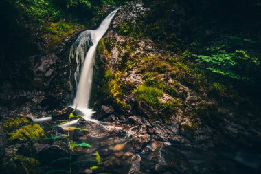 kara ormanda Allerheiligen şelale çağlayan köprü ile şelale, Almanya