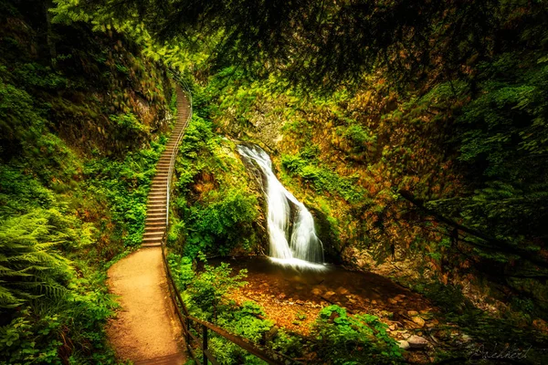 Cachoeira Com Ponte Cascata Cachoeira Allerheiligen Floresta Negra Alemanha — Fotografia de Stock