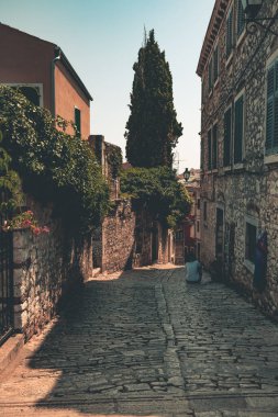 Hırvatistan 'ın Istria bölgesindeki Rovinj kenti. Deniz kenarında güzel, eski bir kasaba. Limanı ve dar sokakları var. Eski evler.
