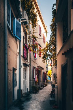 Hırvatistan 'ın Istria bölgesindeki Rovinj kenti. Deniz kenarında güzel, eski bir kasaba. Limanı ve dar sokakları var. Eski evler.