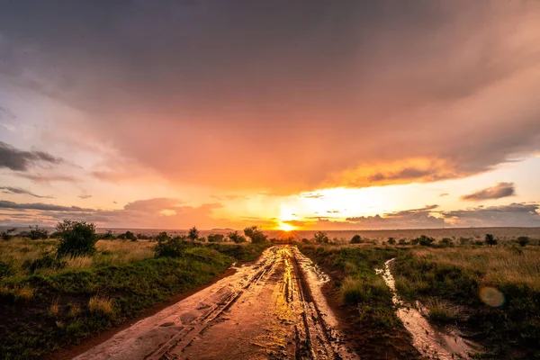 Rainy season in Kenya\'s savanna. Beautiful landscape in Africa at rainy season, sun, rain, rainbow. Safari photography at an incredible distance