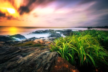 Sri Lanka, deniz kenarında. Deniz kenarındaki güzel günbatımları özel bir şeydir, Sri Lanka 'nın gerçekten olduğu gibi. Kum palmiye suyu