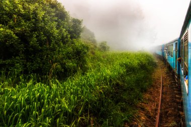 Sri Lanka Kandy tren yolculuğu. Ella 'dan Kandy' ye Sri Lanka dağlarının üzerinden geçen bu yol. Çay tarlaları, şelaleler ve harika manzaralar.