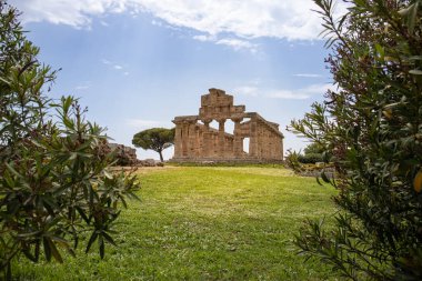 Paestum Arkeoloji Parkı. Roma zamanından kalma güzel tarihi tapınaklar, Campania, Salerno, İtalya