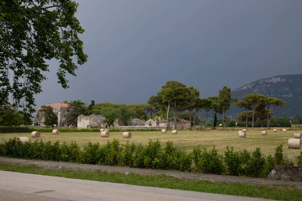 Paestum Archeologisch Park Prachtige Historische Ruïnes Van Tempels Uit Romeinse — Stockfoto